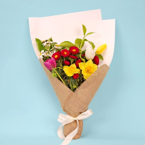 Springtime Symphony  - Standard 0