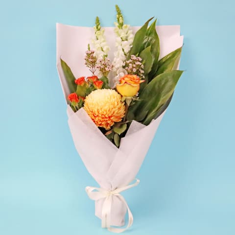 Orange Sorbet - Standard 0