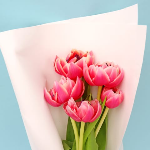 Tulip Market Bunch - Standard 1