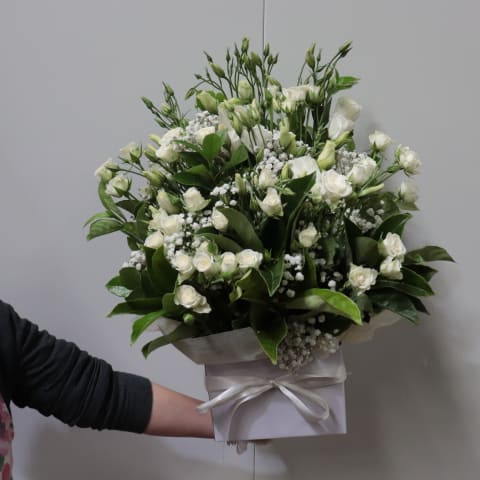 White Serenity - Standard 2