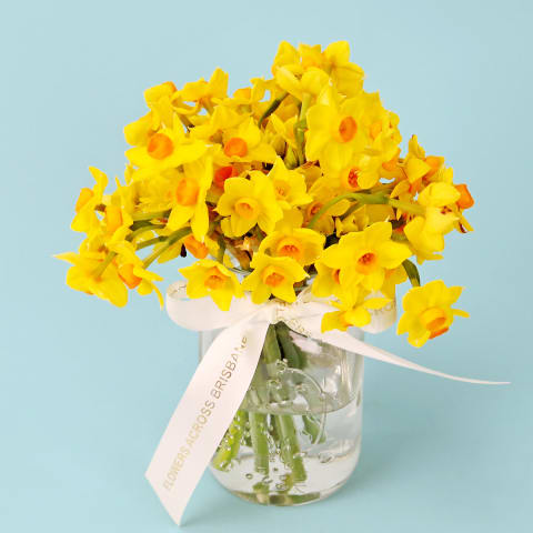 Jumping Jonquils - Standard 0