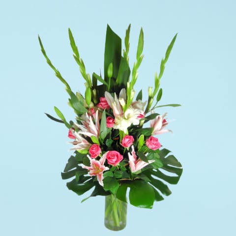 Classic  - Standard 0