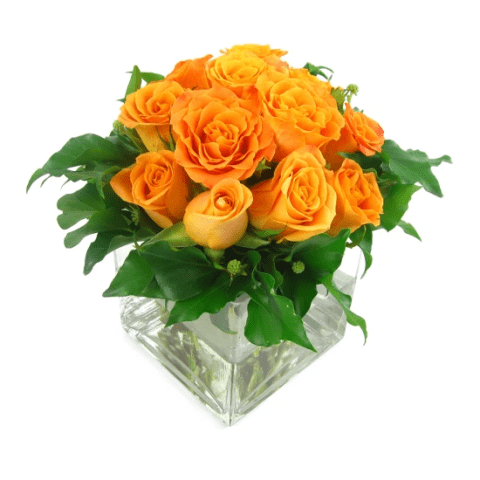 Orange Rose Vase - Standard 0