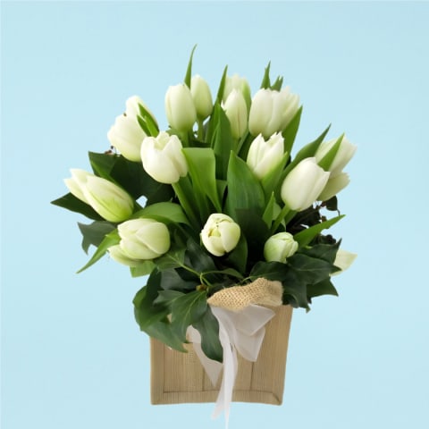 Heralds Of Spring  - Standard 0