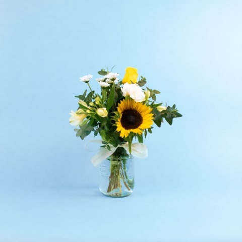 Let The Sunshine In - Standard 0