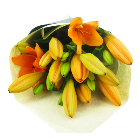 Orange Lily Bunch - Standard 1