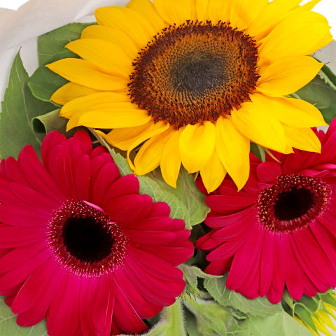 Happy Days  - Standard 3