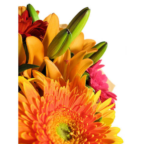 Fun, Bright Bouquet - Standard 1