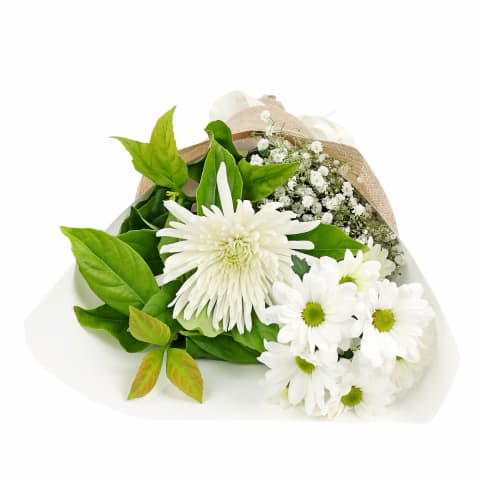 Little Thinking Of You Bunch - Standard 8