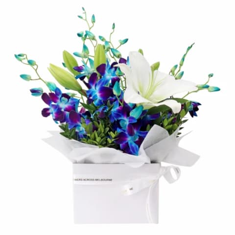 Blue Making Magic Posy Box  - Premium 0