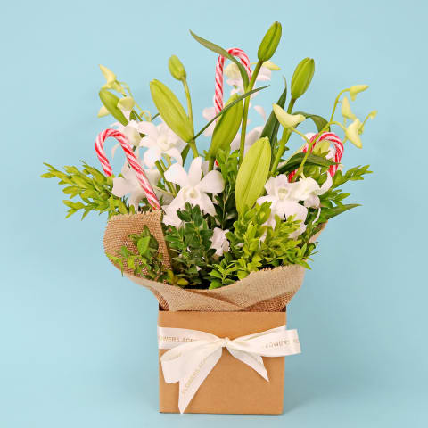 Making Christmas Magic - Standard 0