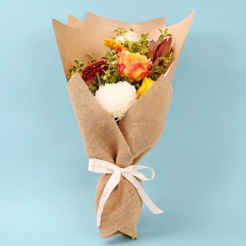 Sunlit Bloom - Standard 0