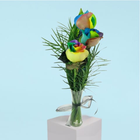 Three Rainbows - Standard 0