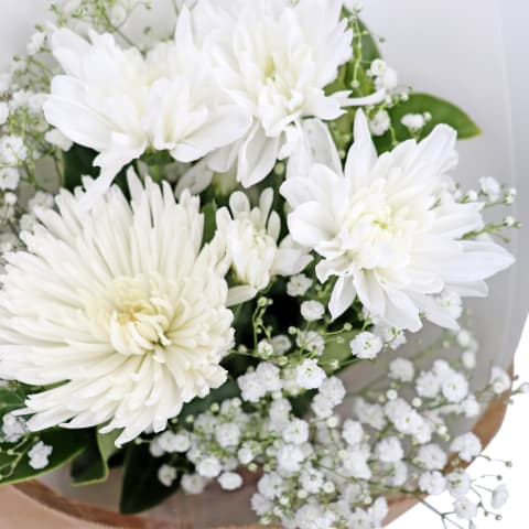 Little Thinking Of You Bunch - Standard 6