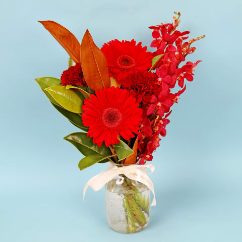 Ruby Radiance - Standard 0