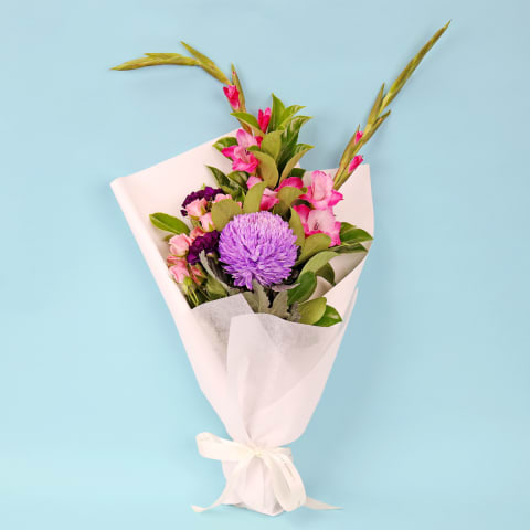 Vivid Collection - Standard 0