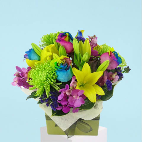 Carnival Of Colour  - Standard 0