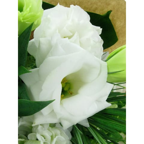 Growing Happiness - Standard 2