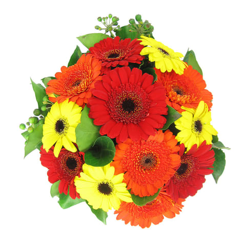 Tea Time Ceramic Teacup With Tim Tams - Standard 3