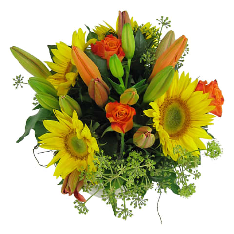 Splendours Of The Season - Standard 2