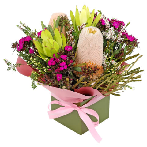 Wondrous Native Wildflower Box - Standard 3