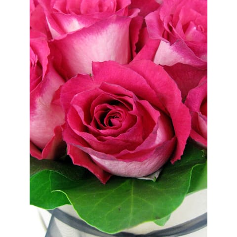 So Fancy Rose Hat Box - Standard 2