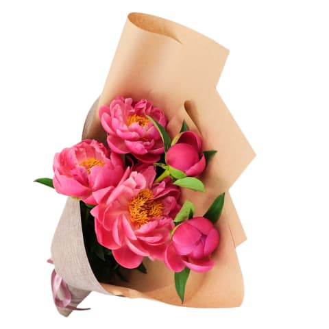 Coral Crush Peonies - Standard 3