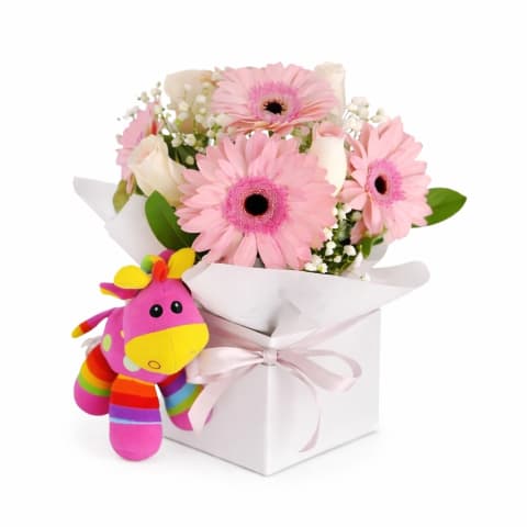 Pretty In Pink   Baby Girl - Standard 0