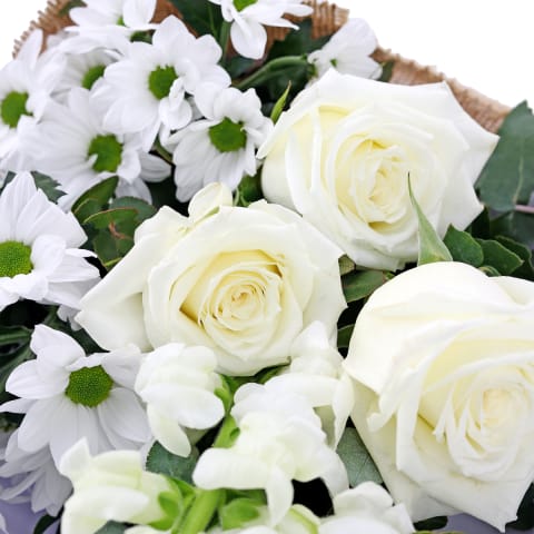 Sweet Sincerity - Deluxe 3