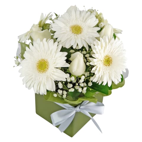 Pretty In White   Baby Boy - Standard 2