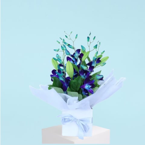 Making Magic - Blue  - Standard 2