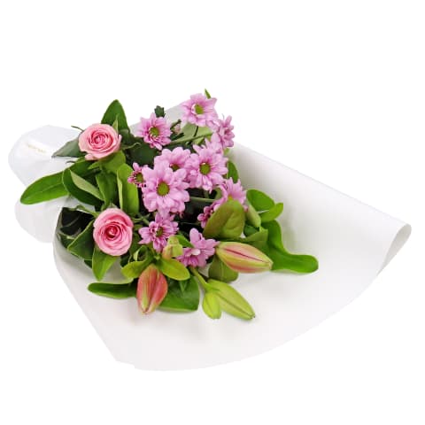 Pink Summer Morning - Standard 1