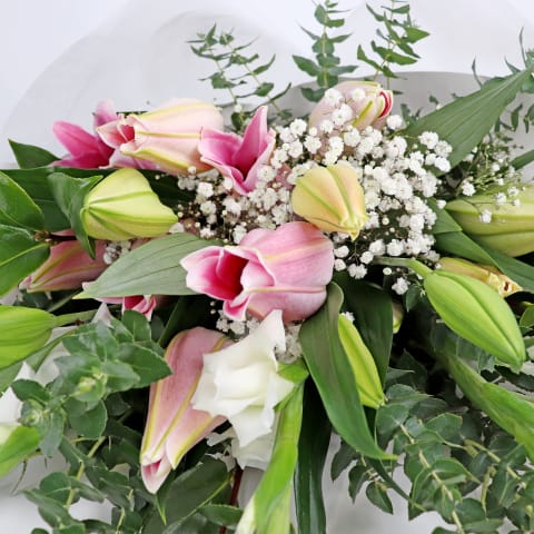 Pink Love And Comfort - Standard 2