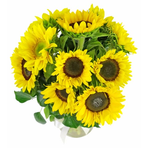 Sunflowers In A Vase - Standard 2