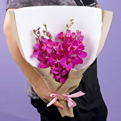 Pink Pop - Standard 1