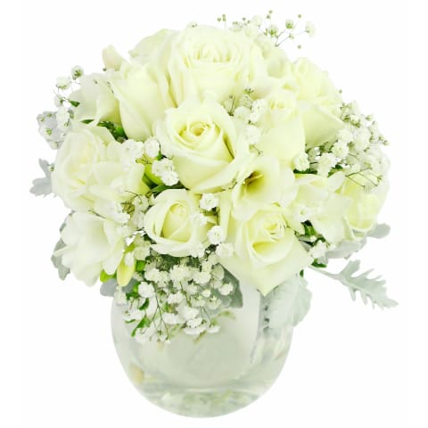 Rosabella - Standard 1