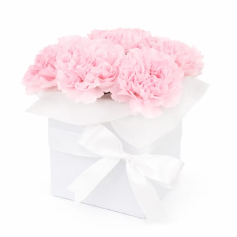 Little Carnation Flower Box   Pink - Standard 0
