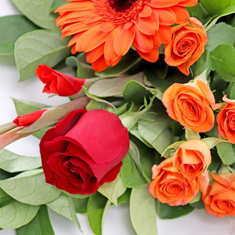 Vibrant Petal Medley - Standard 3