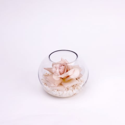 Quicksand Rosette Glass Fish Bowl Arrangement - Standard 2