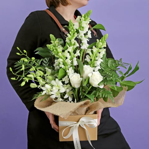 Purr Fection - Standard 1