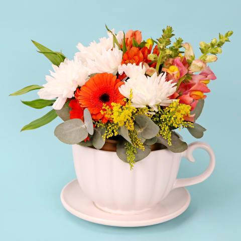 Wonderland Whimsy  - Standard 0