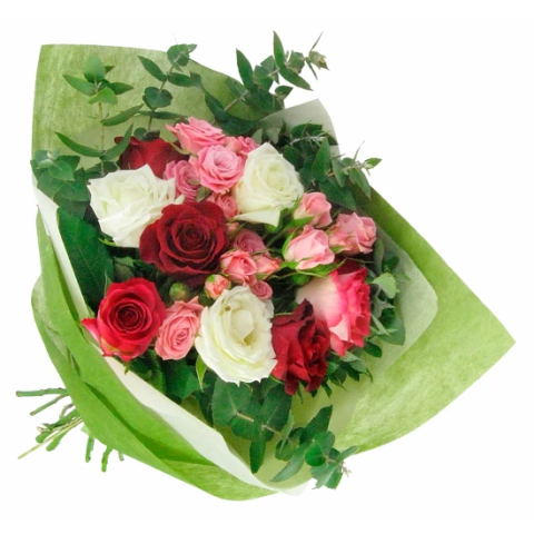 Dance With Me - Standard 0