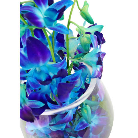 Blue Elegant Orchid Vase Arrangement - Standard 2