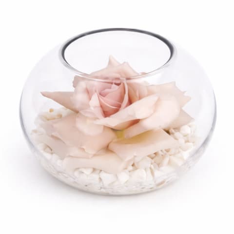 Quicksand Rosette Glass Fish Bowl Arrangement - Standard 0