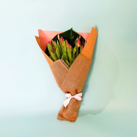 Pink Tulips - Standard 0