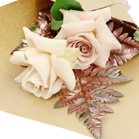 Dreamy Duet - Standard 1