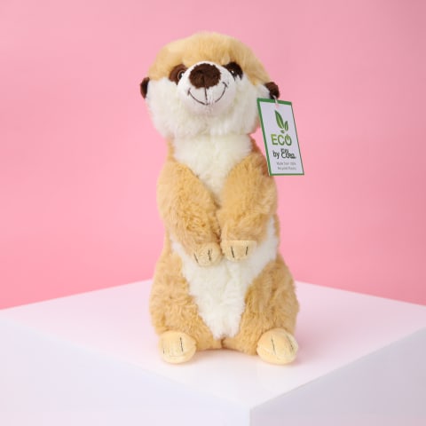 Eco Meerkat  - Standard 0