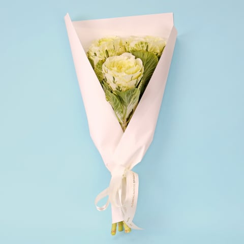 White kale Market Bunch  - Standard 0