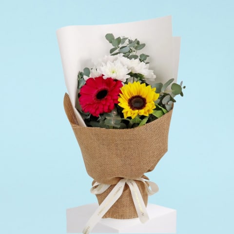 Hello There Bunch  - Standard 0