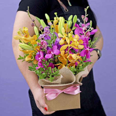 Making Magic  - Deluxe 1